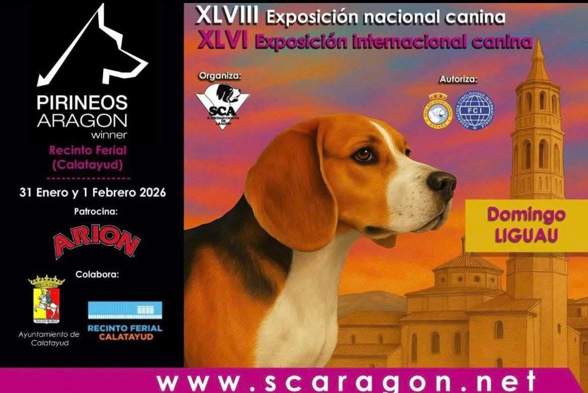 EX_PIRINEO ARAGON_2026