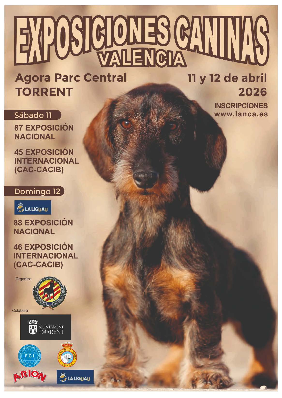 Exposiciones caninas valencia 2026