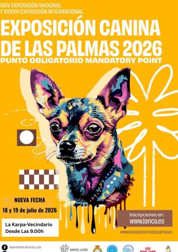 18-19 junio las palmas 26