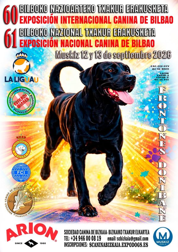 Bilbao 12 -13 septiembre 26