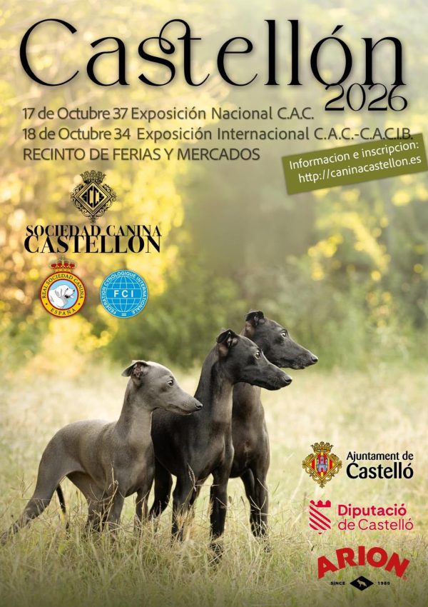 CASTELLON 17 18 Oct 2026