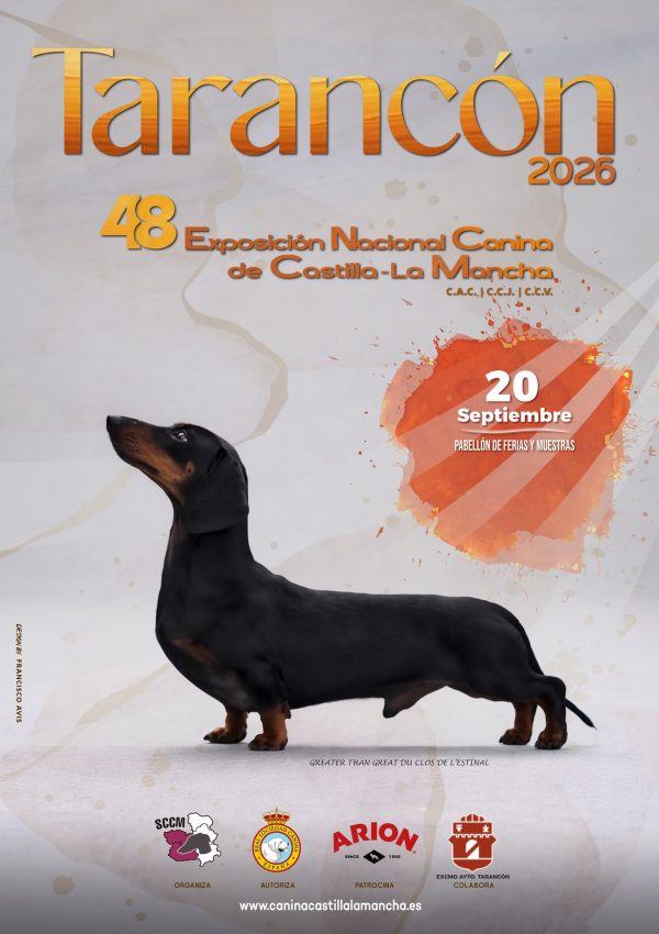 Castilla la mancha 20 septiembre 26