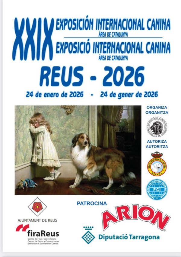 Catalunia 24 enero 26