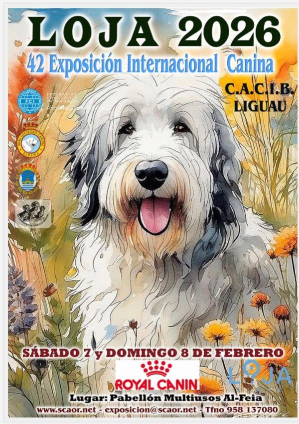 Loja 7-8 febrero 26