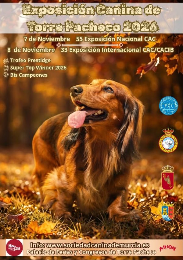 Torre pacheco 7 noviembre 26