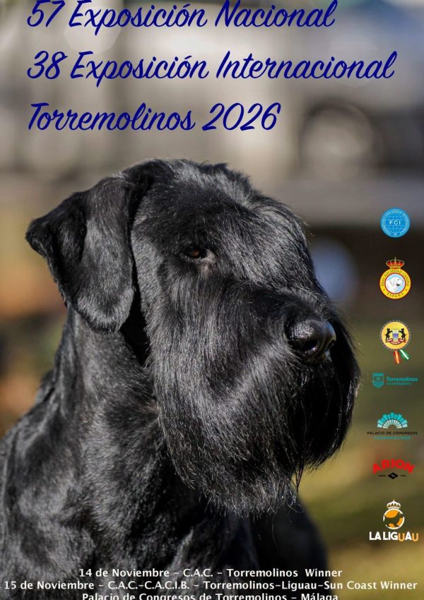 Torremolinos 2026