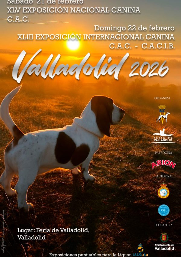 Valladolid 22 febrero 2026
