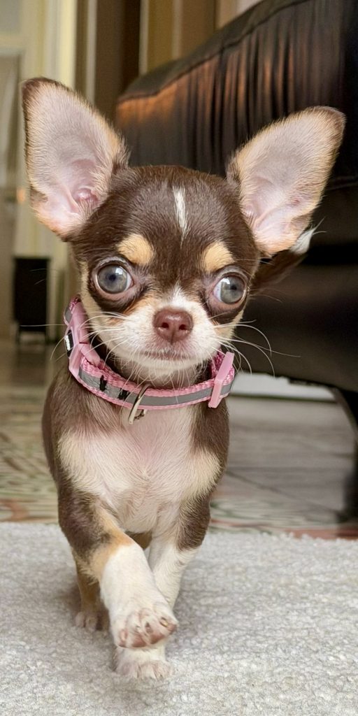 c31b975e-72fc-45e6-9254-c6474b911dc5