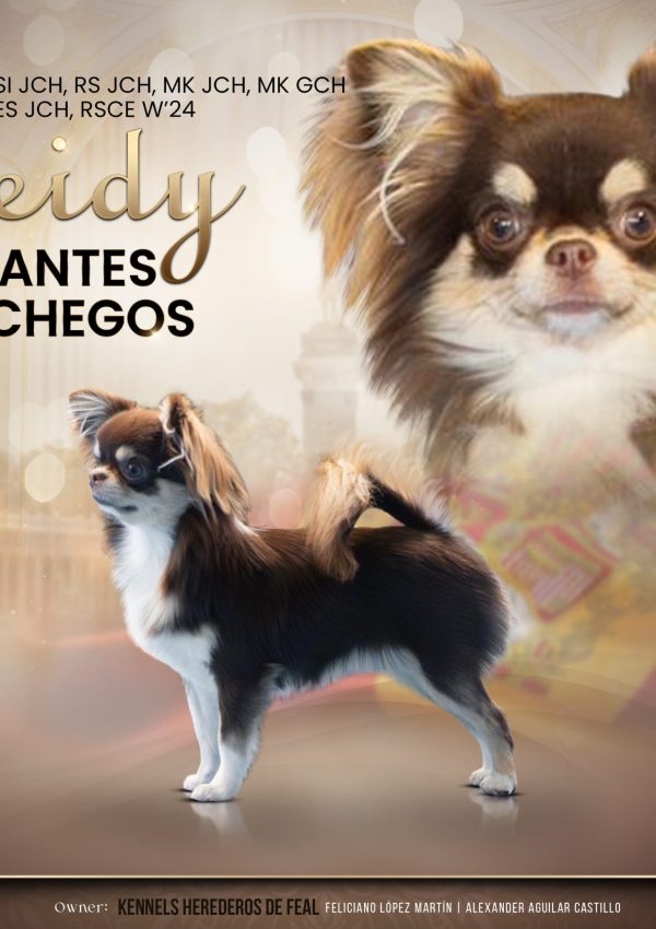 webSEIDY_chEspana-scaled.jpg